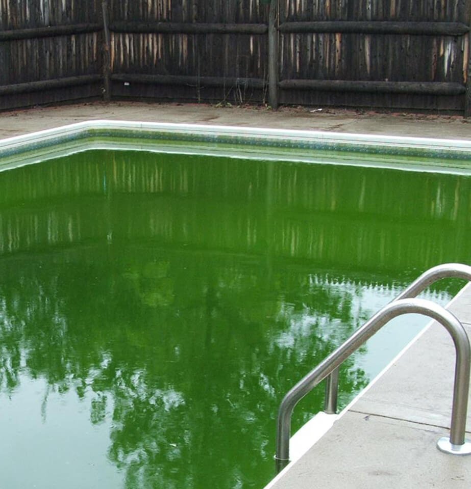 swimming pool filled with green, murky water